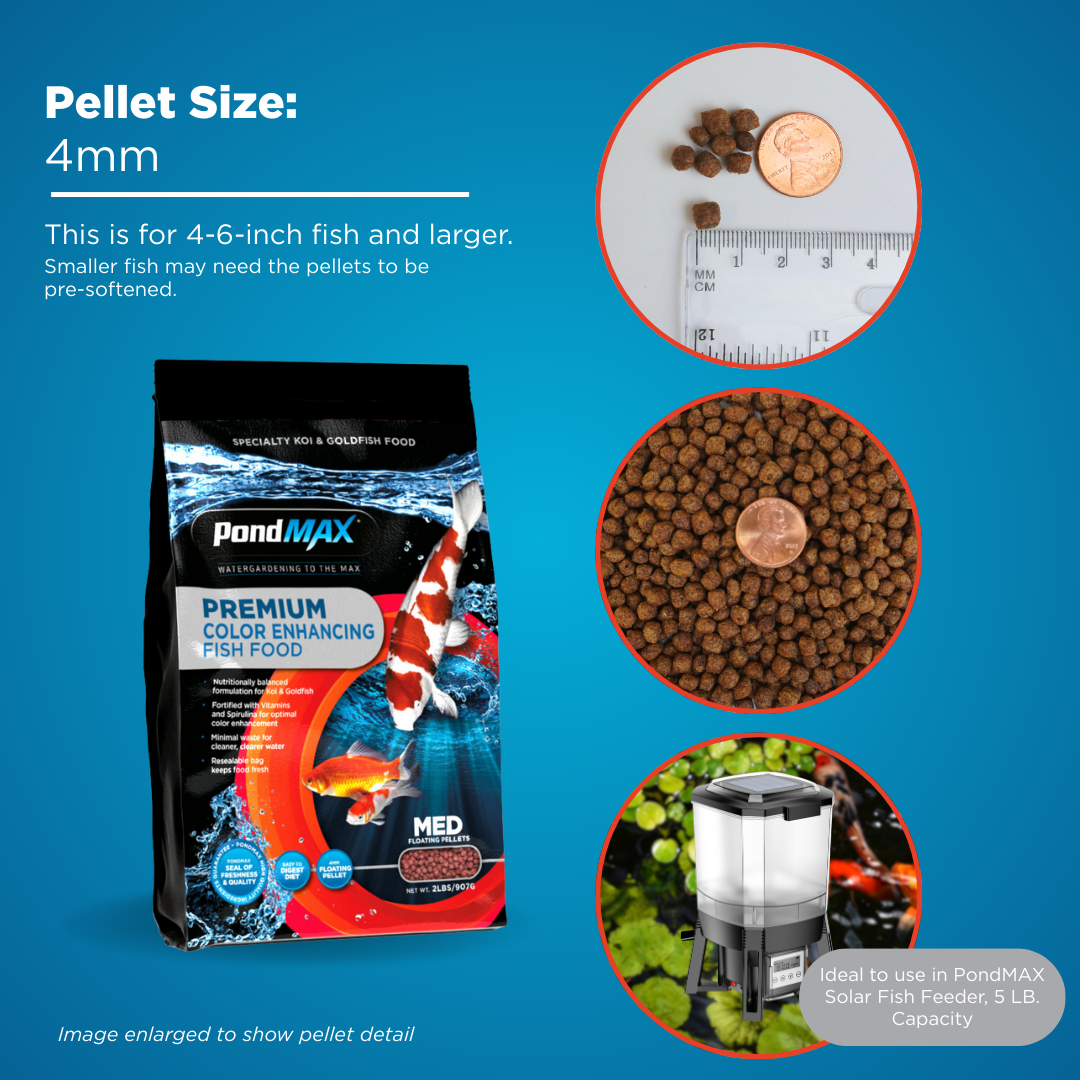 PondMAX premium color enhancing fish food packaging with pellets and feeder on a blue background