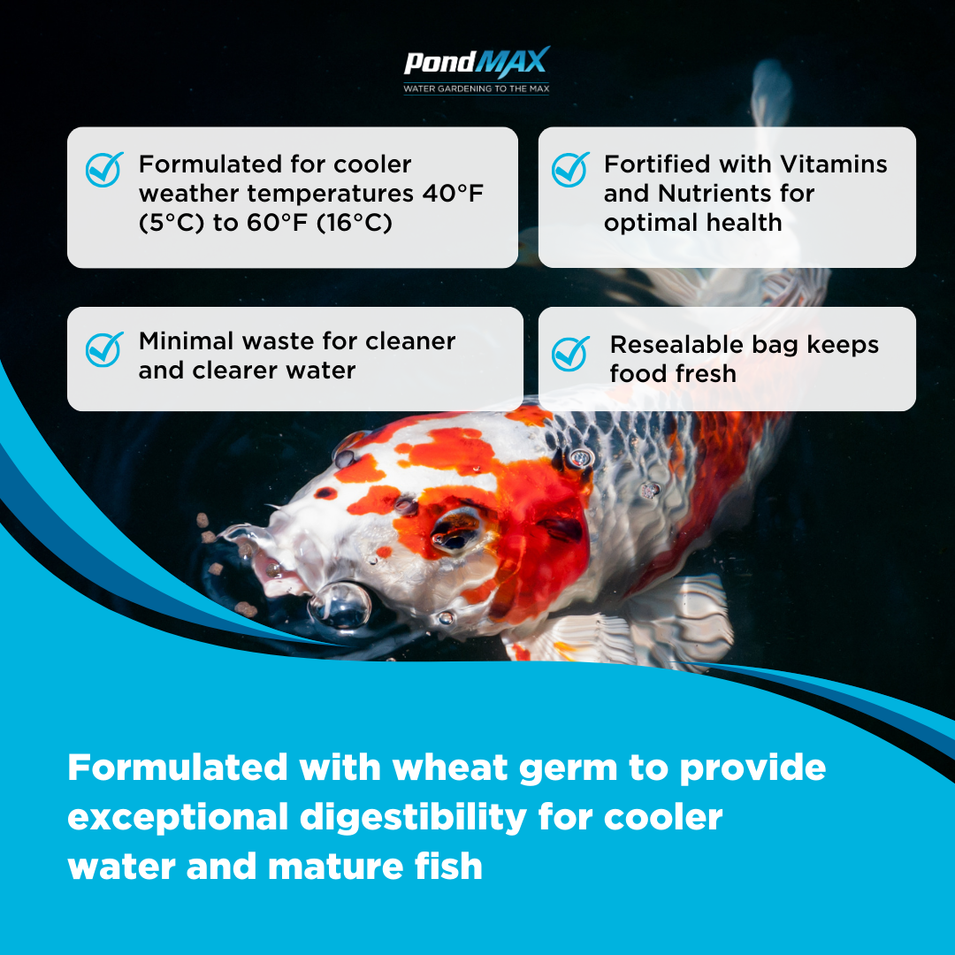 PondMAX fish food packaging with a Koi fish and product features listed.