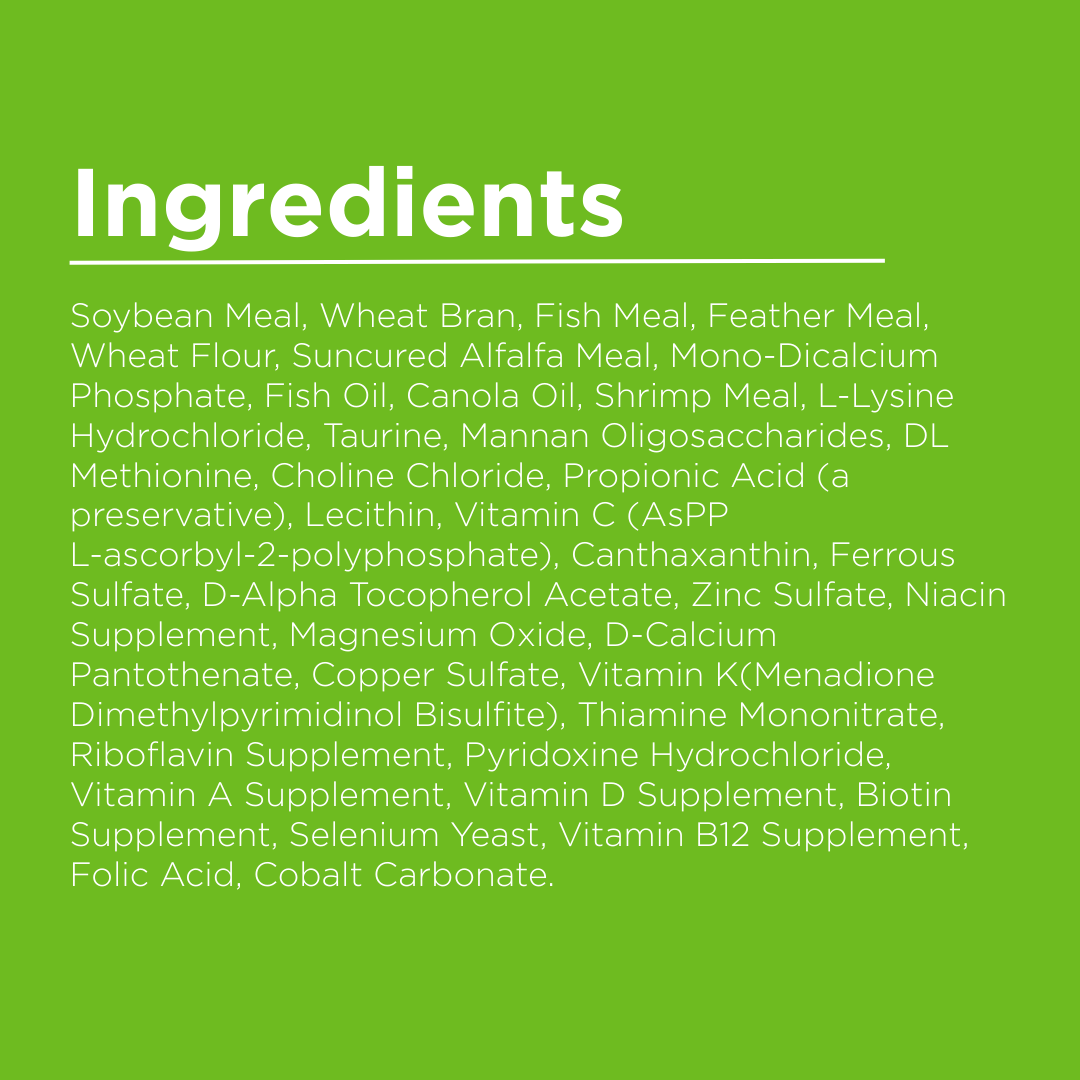 List of ingredients on a green background