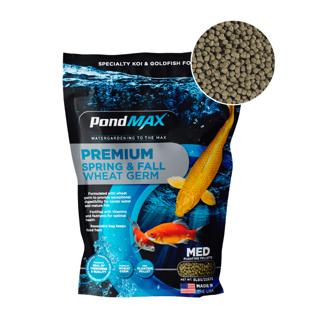 PondMAX Premium Spring & Fall Wheat Germ 5 lb bag, current packaging, with a close-up of the 4mm floating pellets