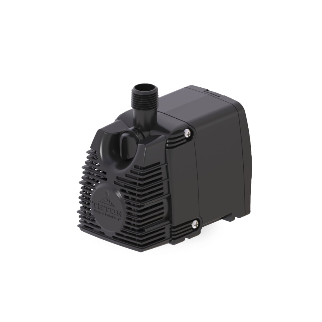 Black pump on a white background