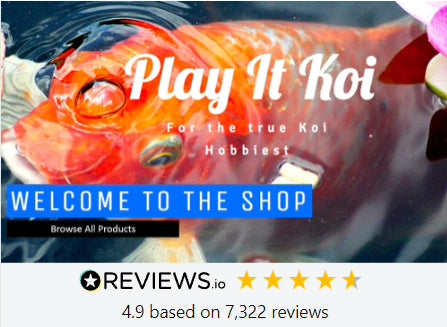 Koi supply 2025 near me