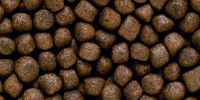 Saki Hikari Multi-Season Formula - Medium Pellet - family