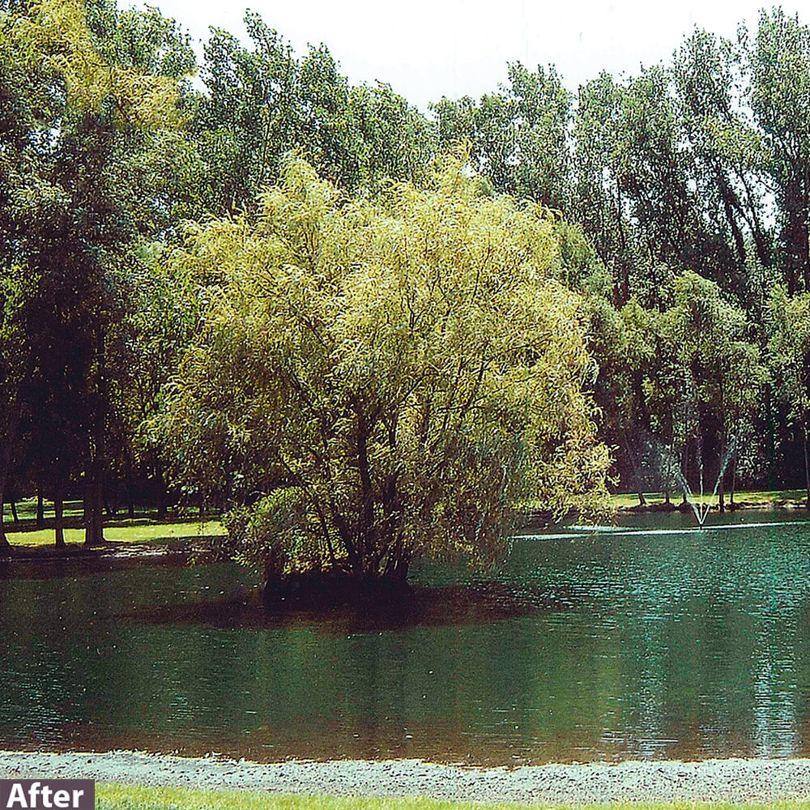 airmax wipeout aquatic herbicide 8 oz WipeOut PondWeed Defense