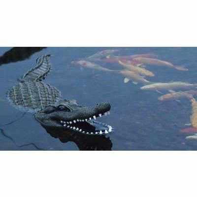Aquascape Floating Alligator Decoy - Play It Koi