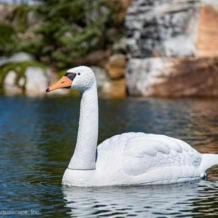 Aquascape Floating Swan Decoy - Play It Koi
