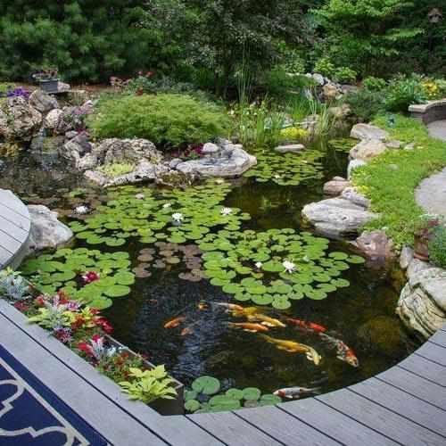 Aquascape Large Pond Kit 21x26 with SLD 5000-9000 - Play It Koi
