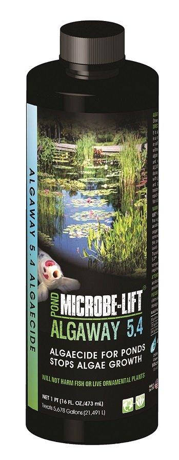 Microbe-Lift Algaway 5.4 Algaecide - Play It Koi