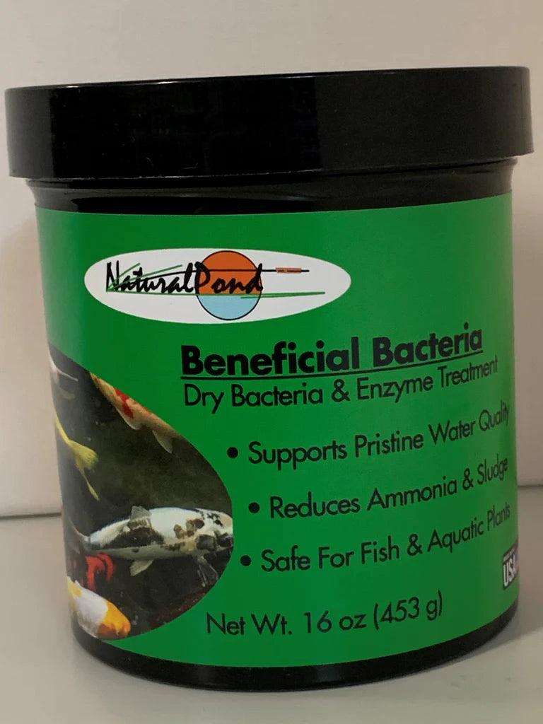 NaturalPond Beneficial Bacteria - Dry - Play It Koi