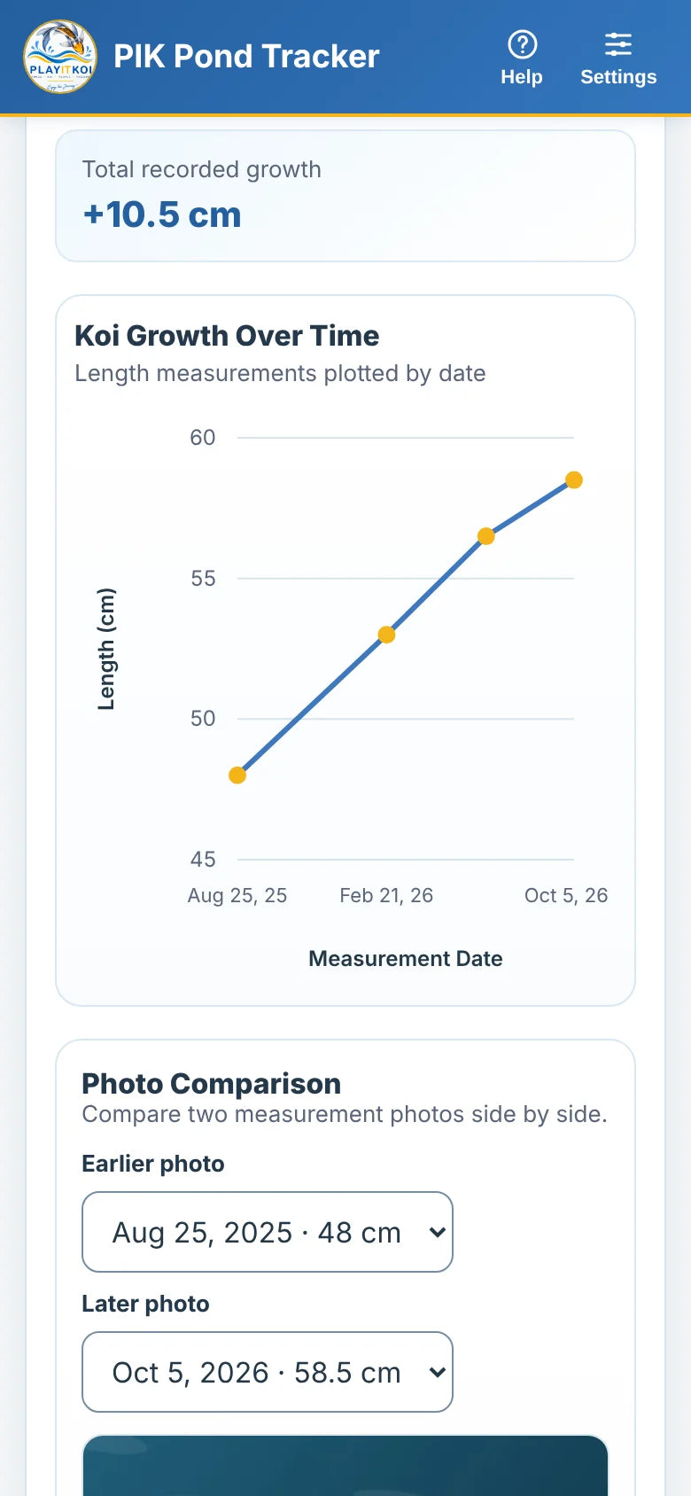 A koi's growth chart in the Pond Tracker, from 48 cm to 58.5 cm in a little over a year